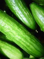 Muncher Cucumber Seed Pack