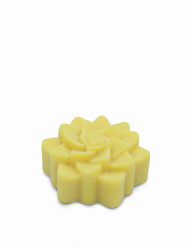 Succulent (Vegan) Lotion Bar