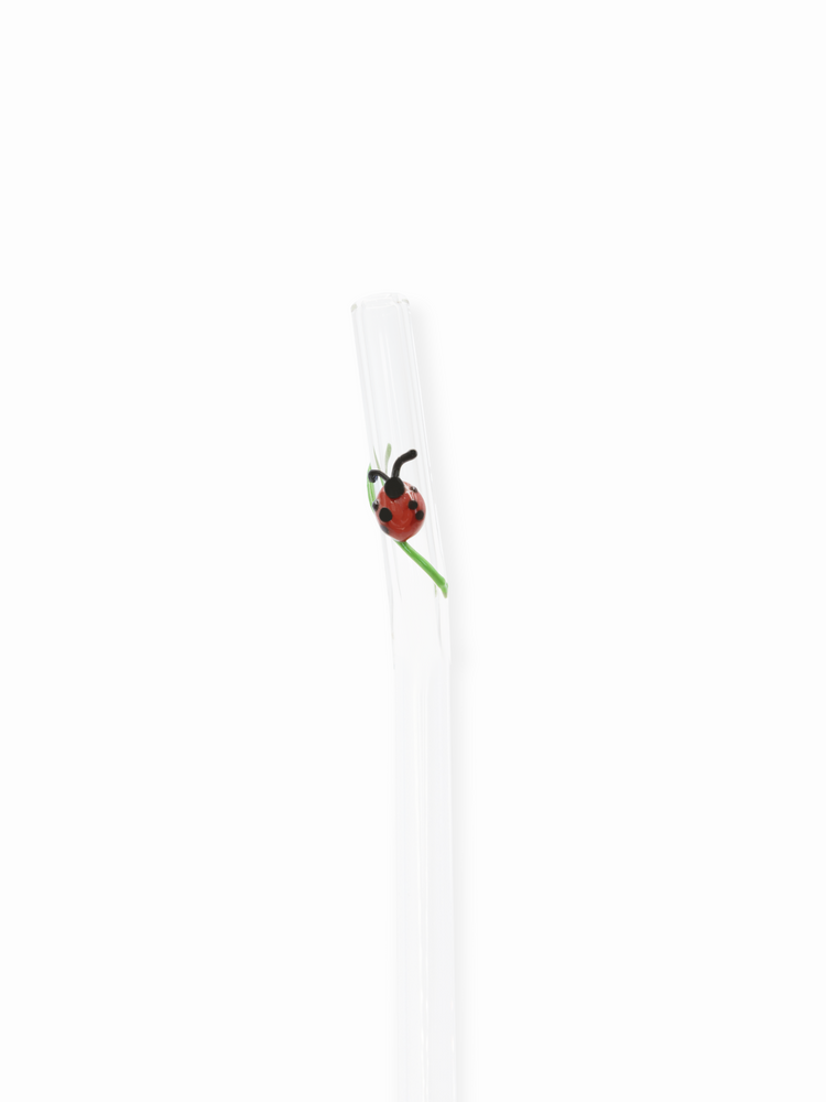 Ladybug Straw