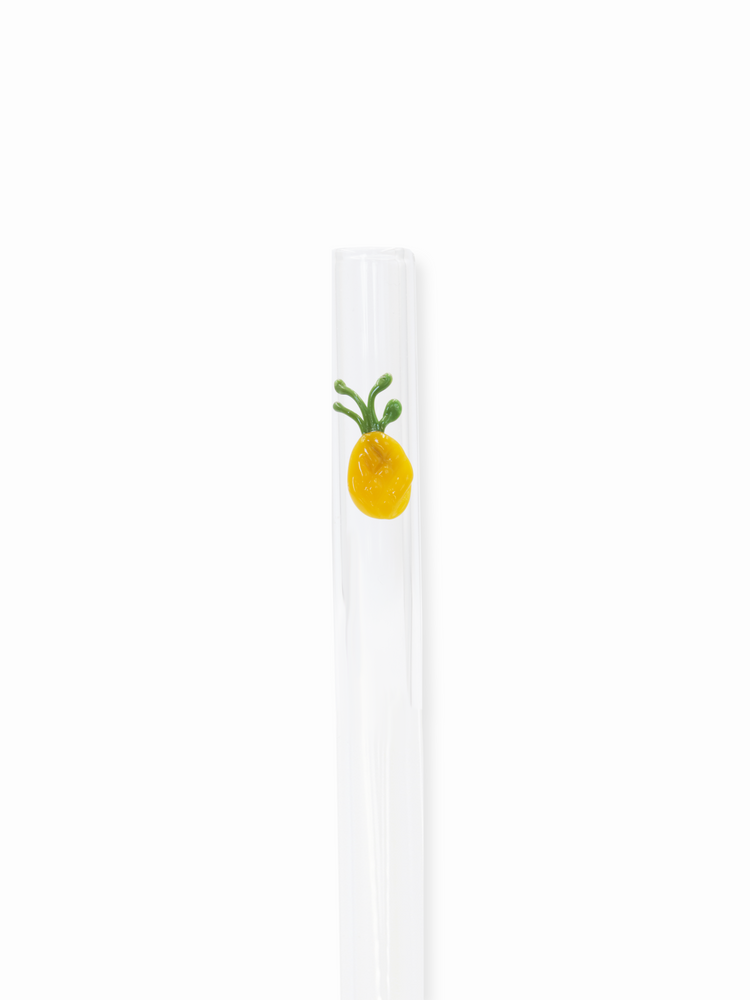 Pineapple Straw