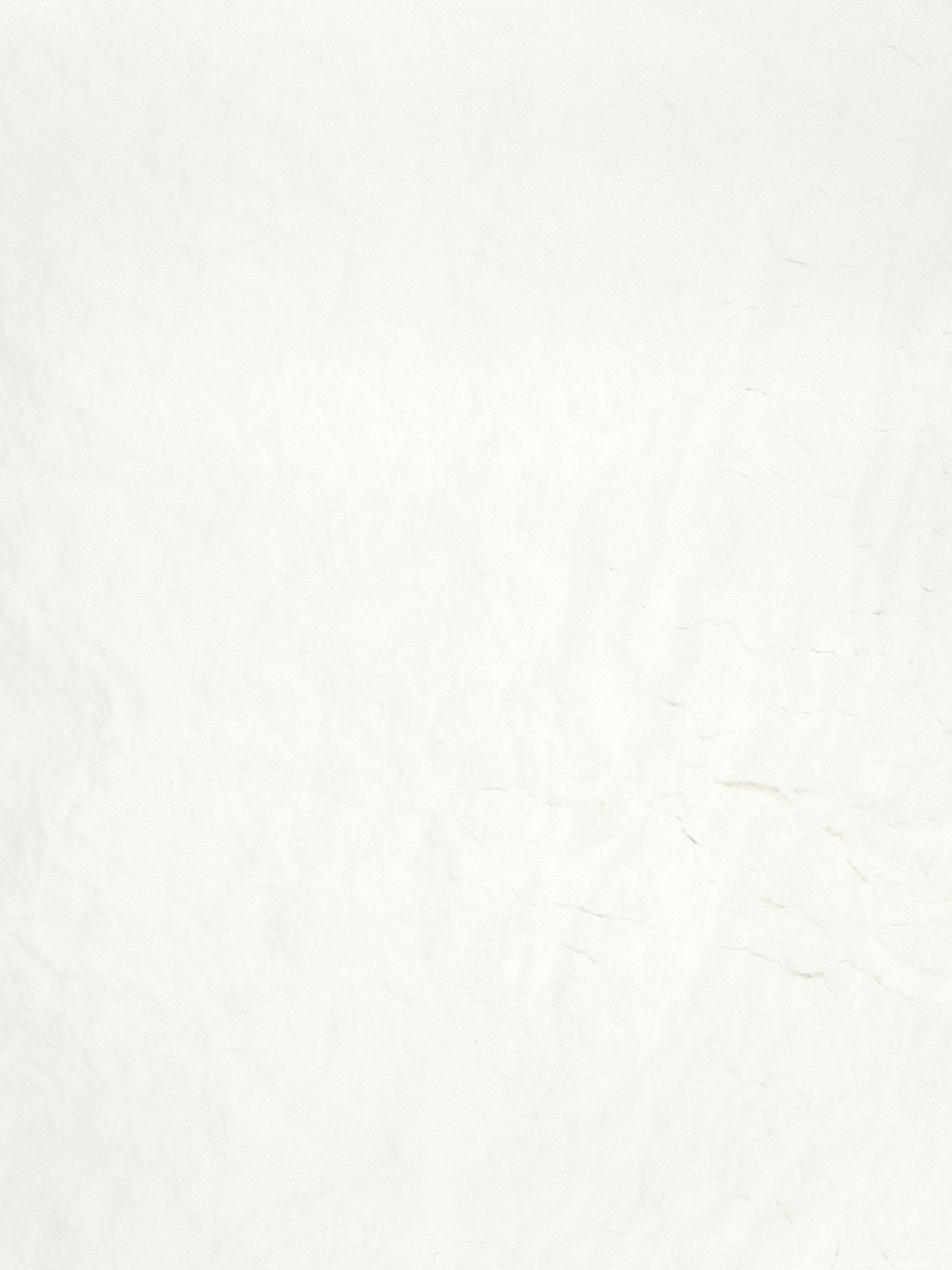 ZCote Zinc Powder, Oil Dispersable The Soap Dispensary and Kitchen Staples