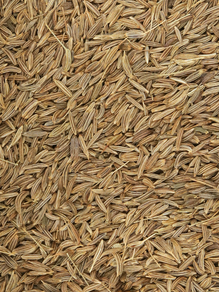 Organic Caraway Seeds