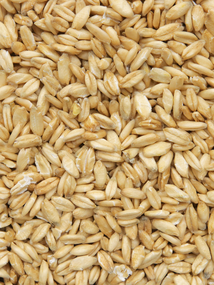 Organic Steel Crimped Oats