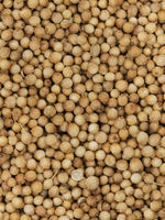 Organic Whole Coriander Seeds