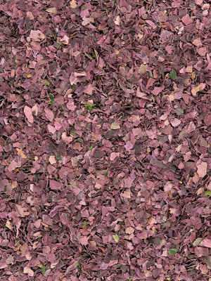 Organic Dulse Flakes