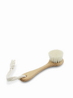 Face Brush with Handle