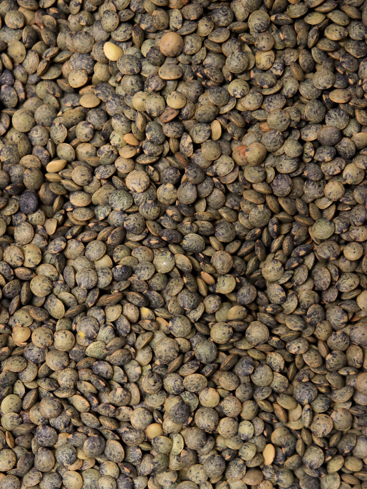 Organic French Du Puy Lentils