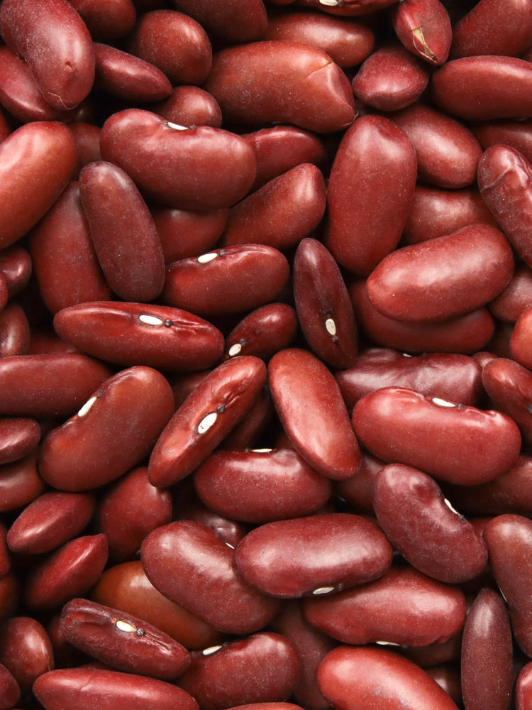 Organic Red Kidney Beans