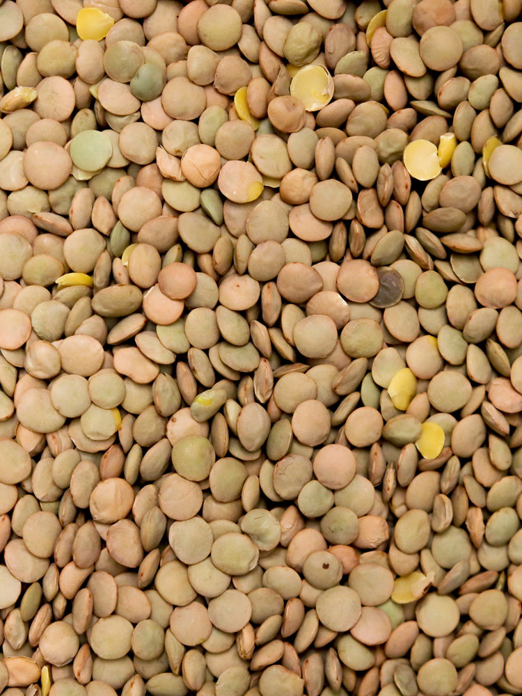 Organic Laird Lentils