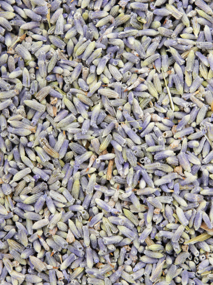 Organic Wild Lavender