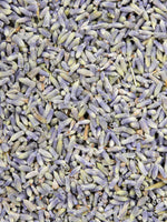 Organic Wild Lavender
