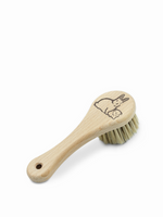 Pet Brush