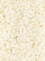 Organic Quinoa Flakes