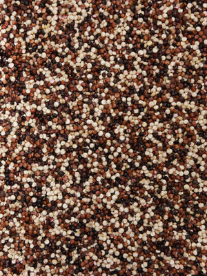 Organic Tri Colour Quinoa