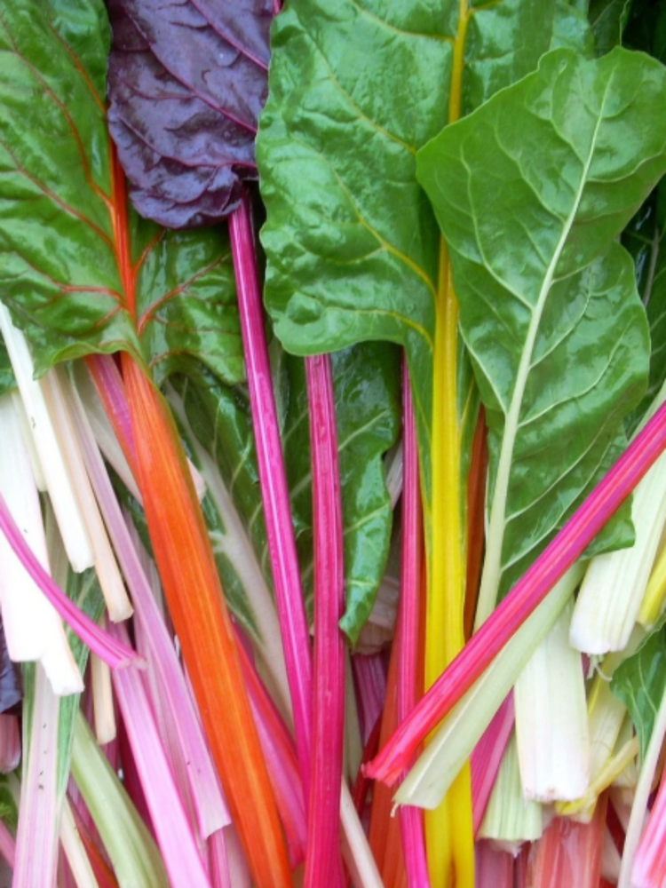 
            
                Load image into Gallery viewer, Rainbow Chard Seed Pack
            
        
