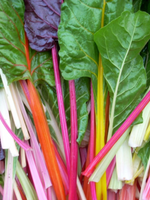 Rainbow Chard Seed Pack