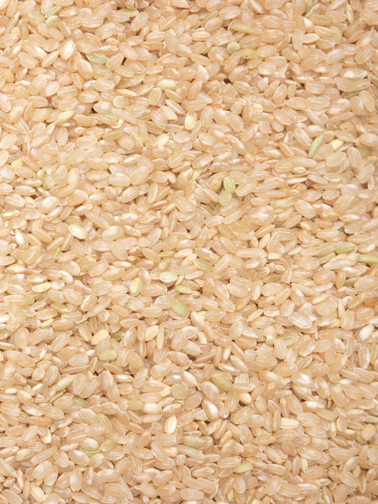 Organic Short Grain Brown Rice