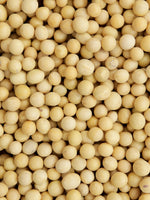 Organic Soy Beans