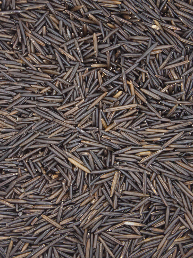 Organic Wild Rice