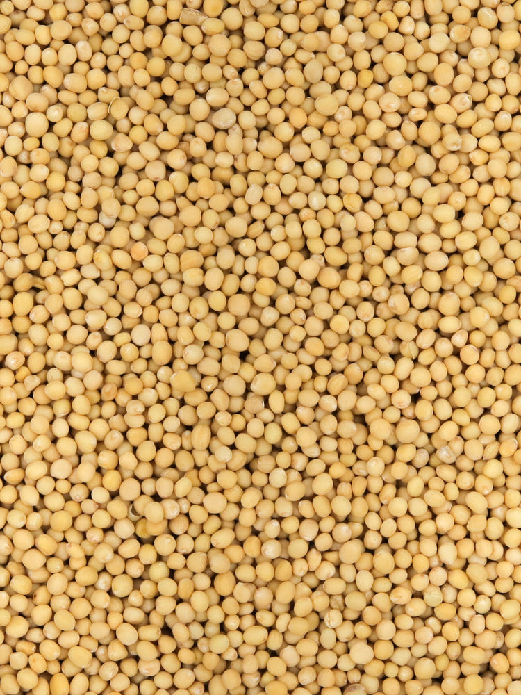 Organic Whole Yellow Mustard Seeds