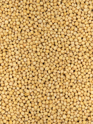Organic Whole Yellow Mustard Seeds