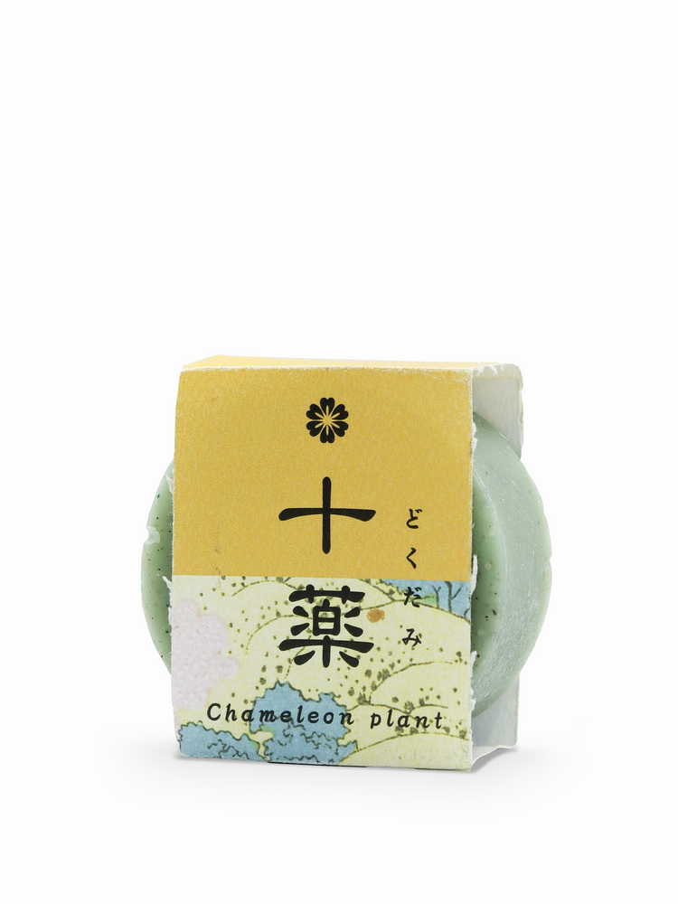 Beauty Secrets of Japan Bar Soap