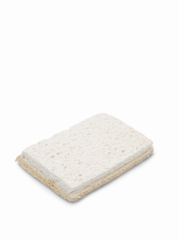 Eco Sponge