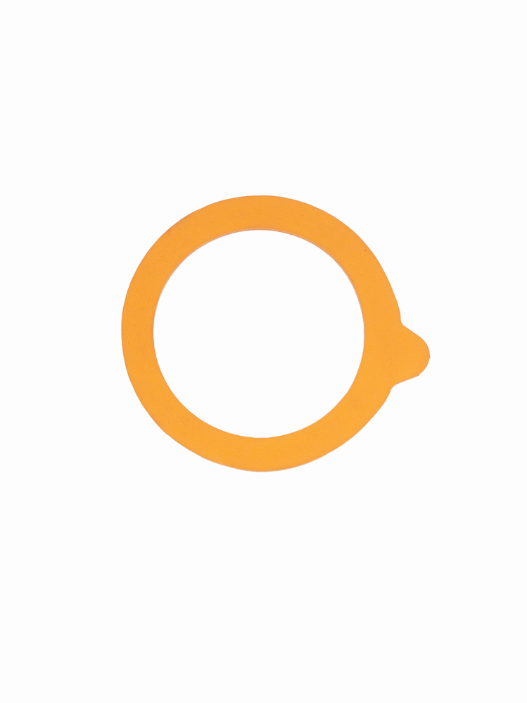 Le Parfait Gaskets