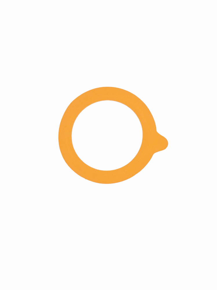 Le Parfait Gaskets