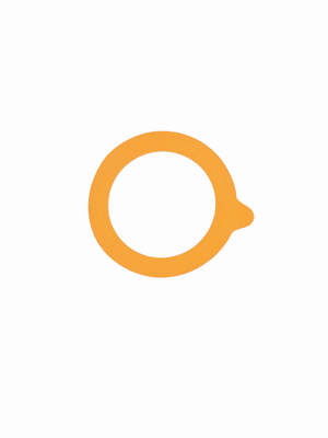 Le Parfait Gaskets