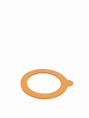 Le Parfait Gaskets