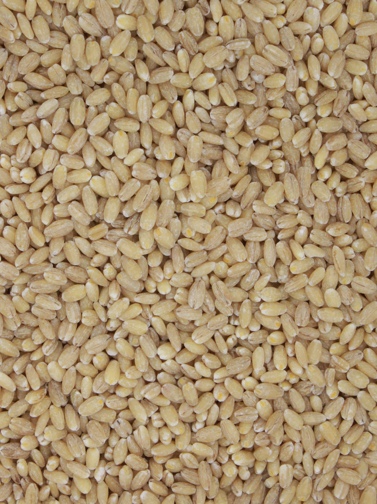 Organic Barley Pearled