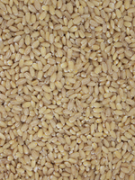Organic Barley Pearled