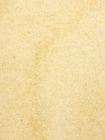 Organic Raw Cane Sugar