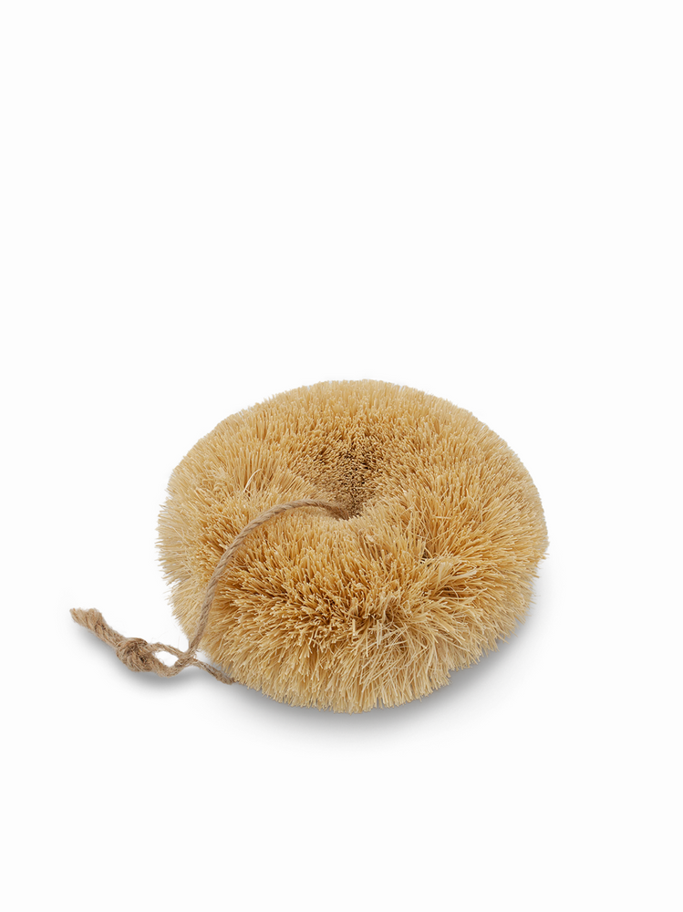 Round Dish Scrubber