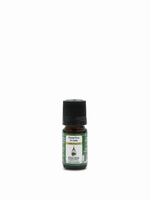 Shore Pine 5ml EO Bottle