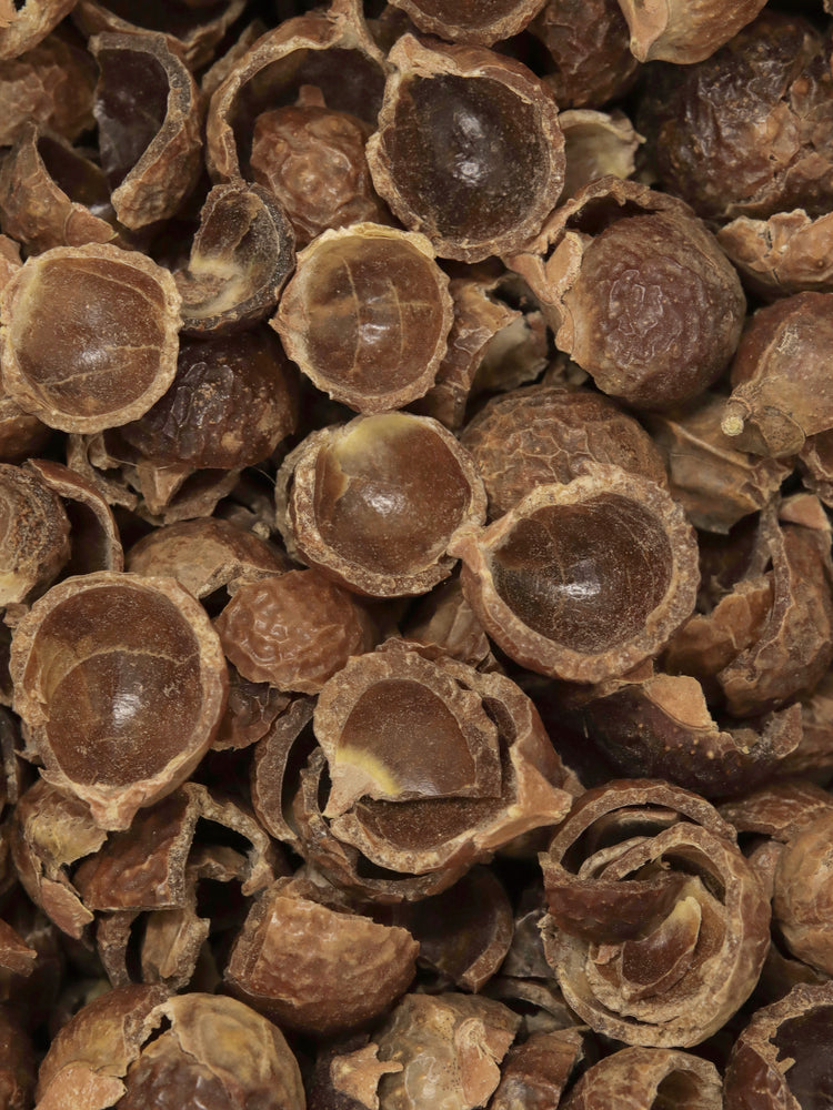 Soap Nuts