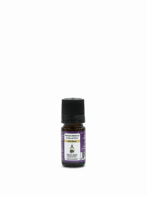 Western Hemlock 20% Dilution 5ml EO Bottle